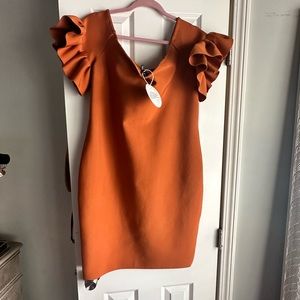 Bodycon dress 👗. Brand new with tags. Perfect for a Gala or evening wedding.
